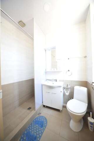 Гостевой дом Globus Hostel and Guest House Batumi Батуми Двухместный номер Делюкс с 1 кроватью и душем-6