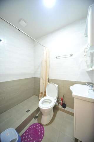 Гостевой дом Globus Hostel and Guest House Batumi Батуми Двухместный номер Делюкс с 1 кроватью или 2 отдельными кроватями-6